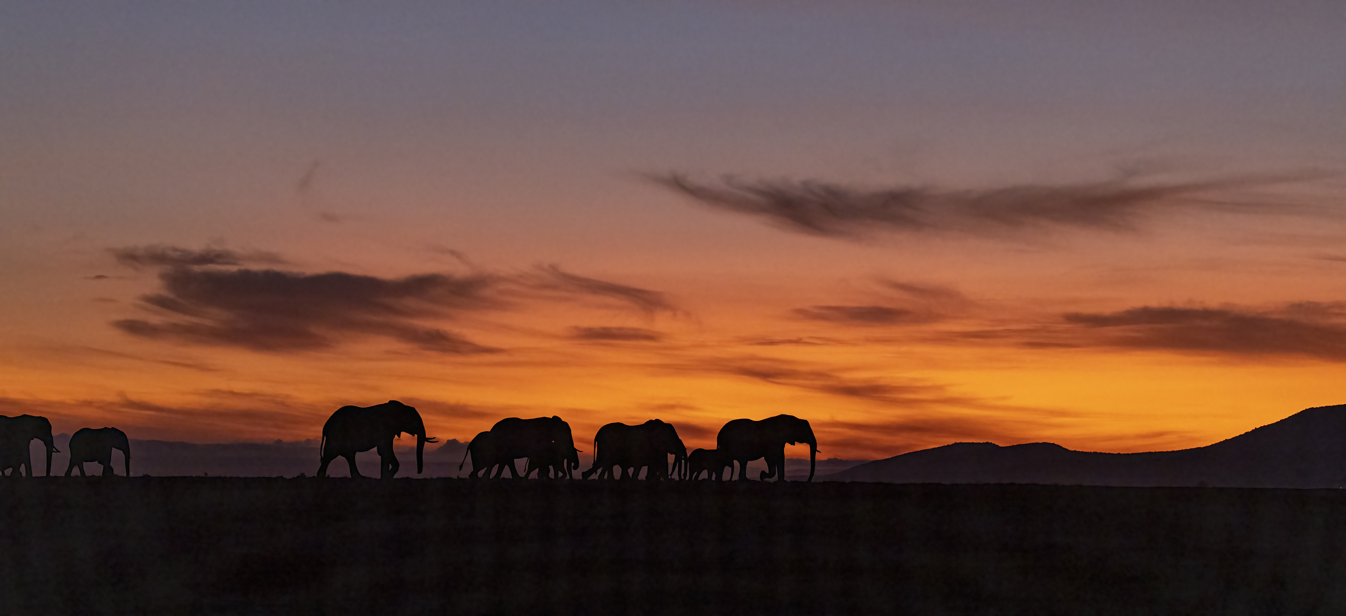 November 10, 2022-054235-Edit.jpg